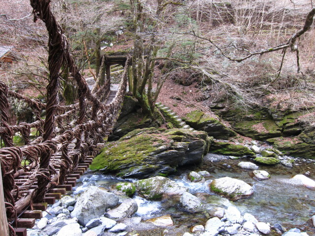 vine-bridge